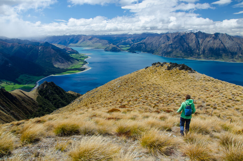 New Zealand Tourist Attractions