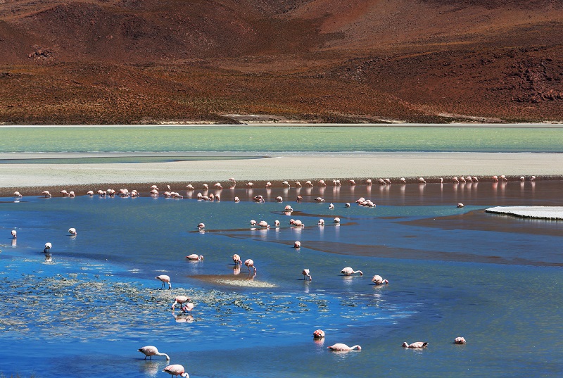 Tourist Attractions in Bolivia